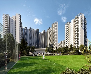 property_image